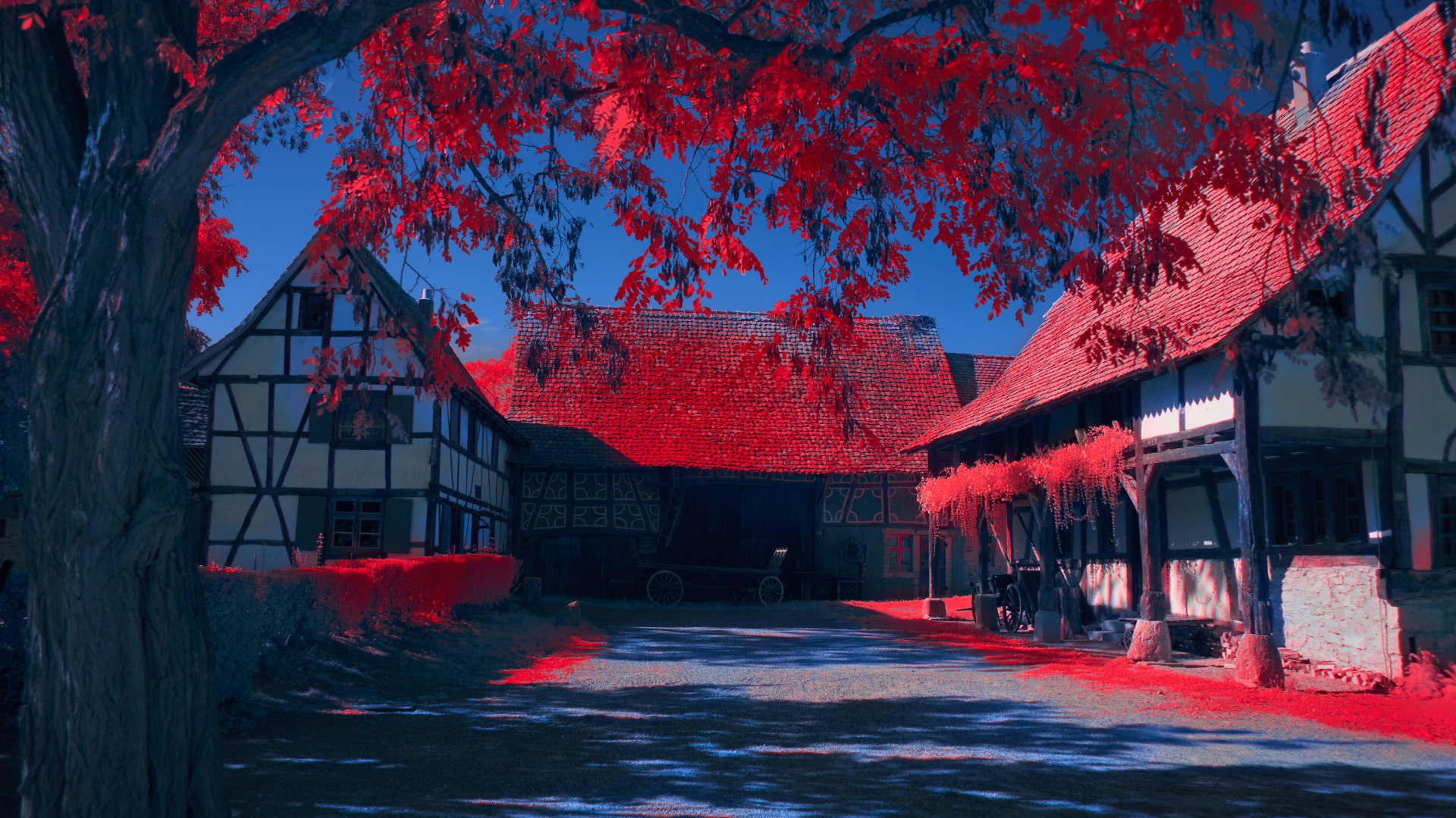 专业网址目录扫描工具用户手册