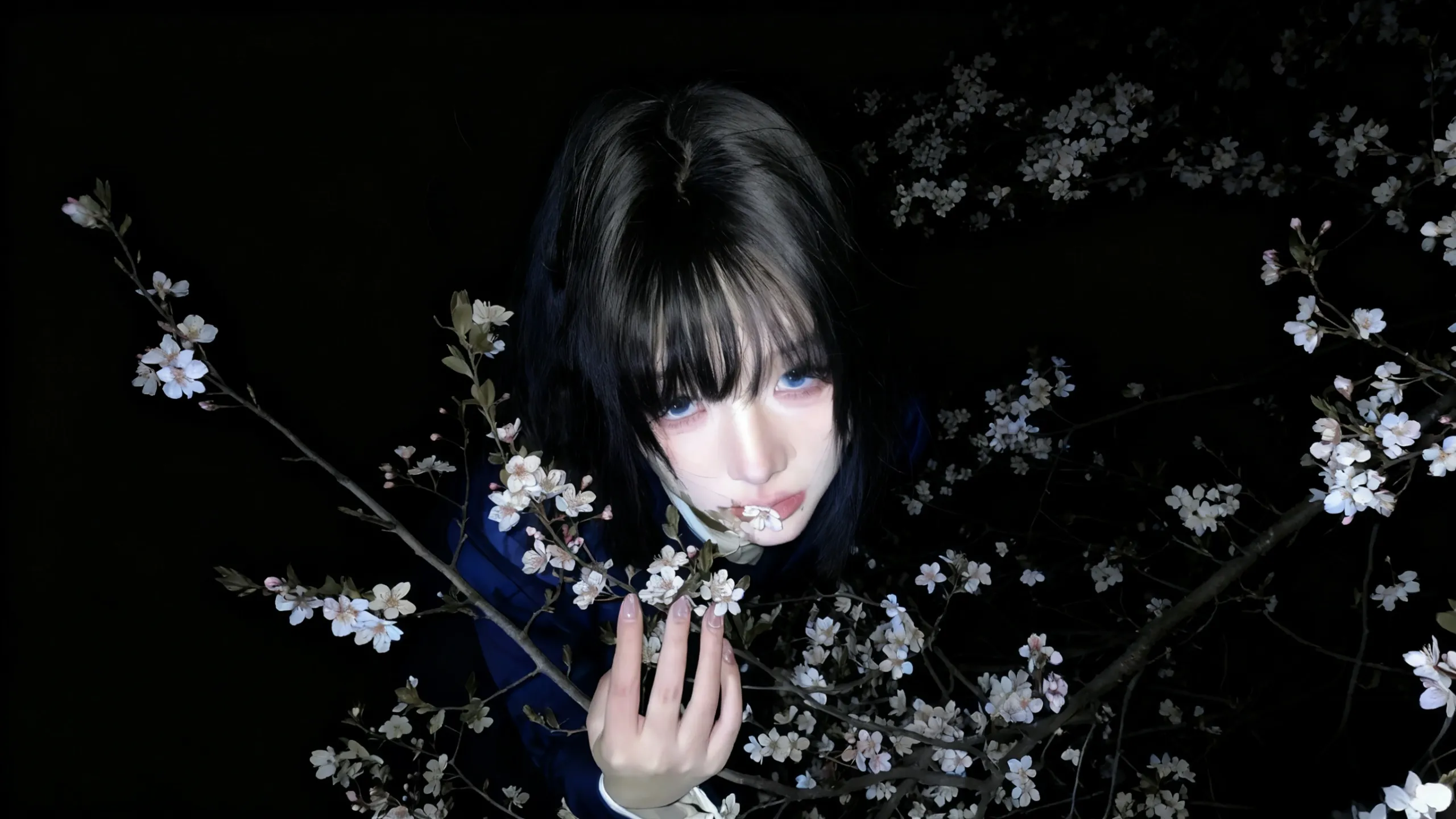 Autopsy的使用方法